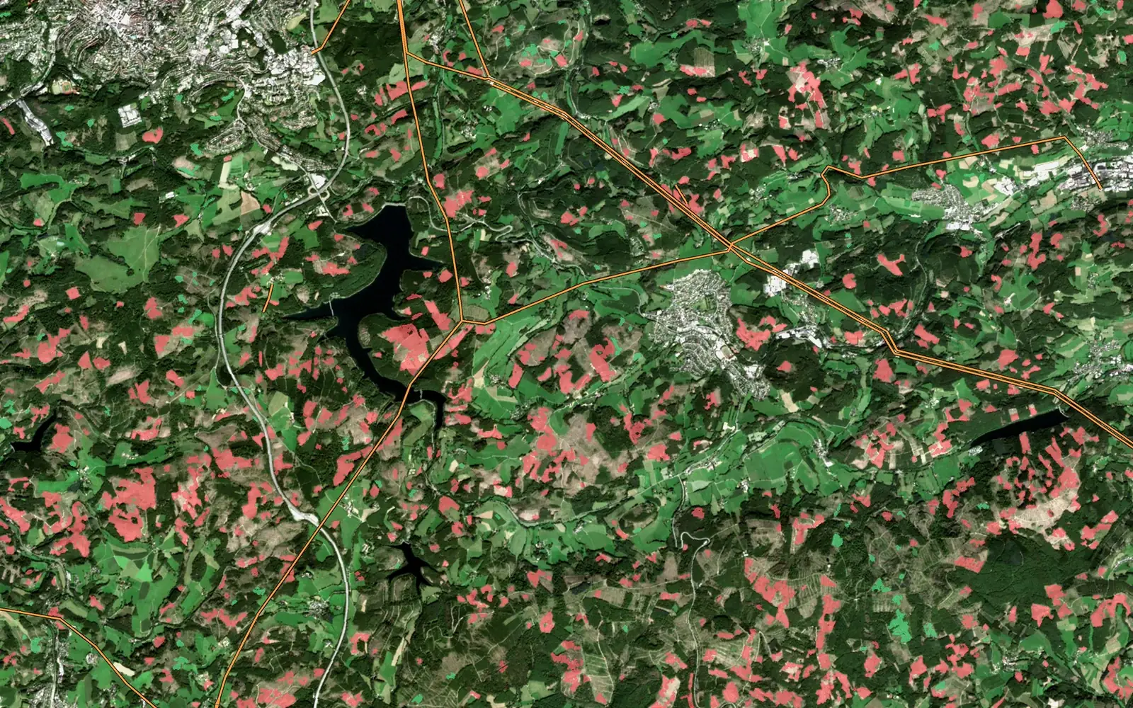 Bosque del Sauerland (Alemania) en septiembre de 2023: talas rasas realizadas desde 2020 en rojo, rebrote en despejes anteriores en verde, líneas de alta tensión en naranja