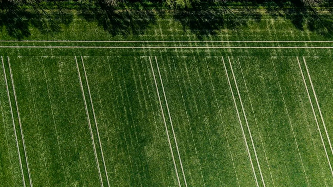 Top-down view of green crop field with visible machinery passes and tree line