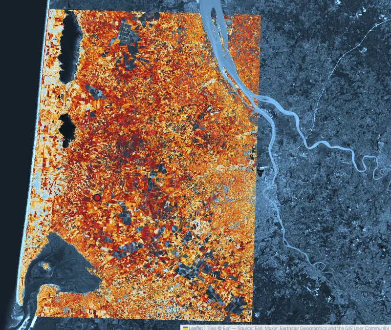 Mapa satelital de la sequedad de la vegetación a lo largo de un corredor